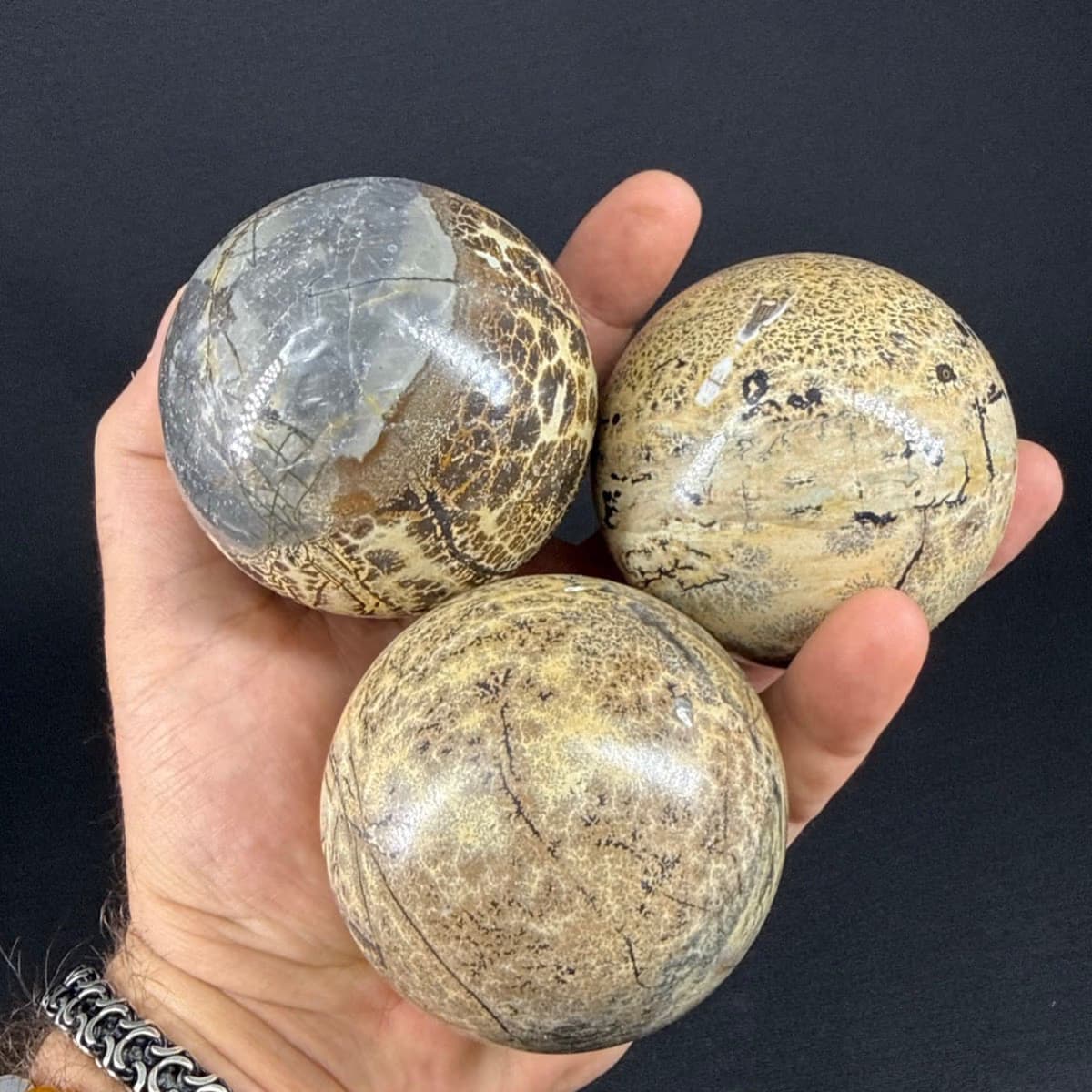 Picture Jasper Küre