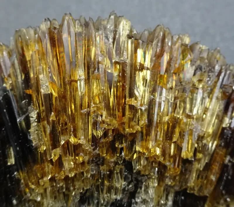 Amber Kalsit Faydaları
