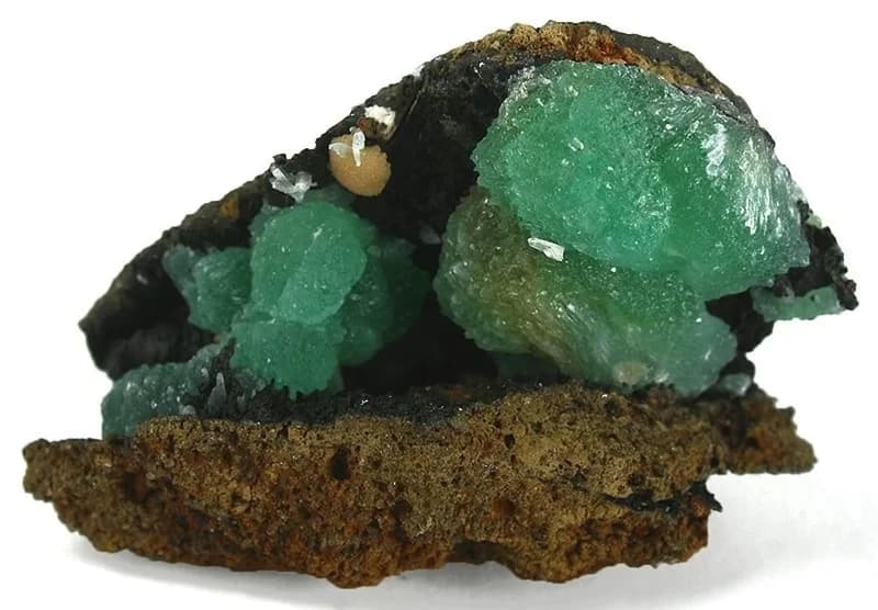 Anapaite Faydaları