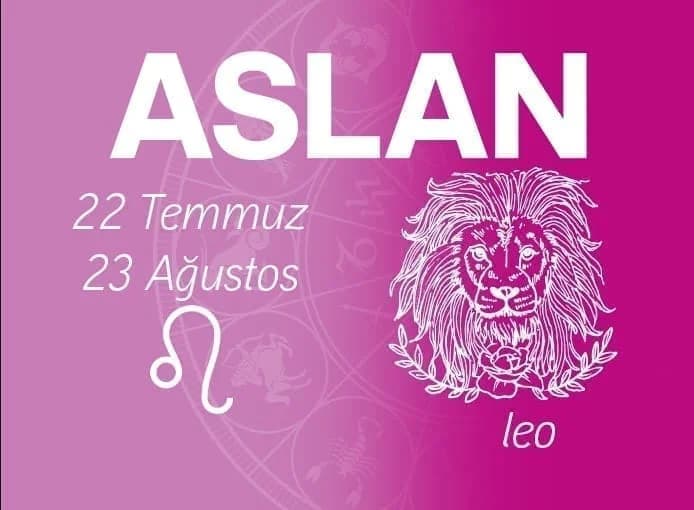 Aslan Burcu Doğal Taşları