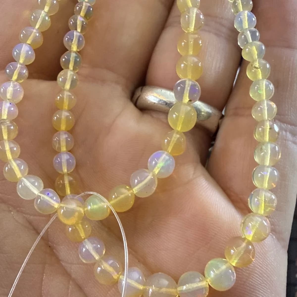 Opal A+ Dizi 4 mm