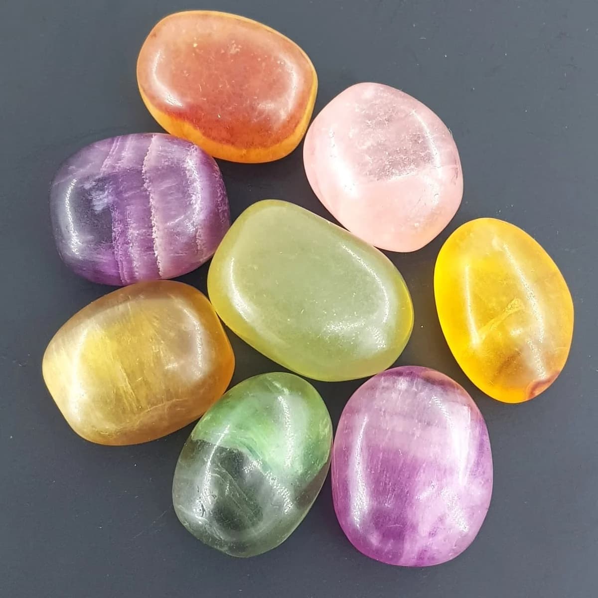 Rainbow Florit Tımbıl