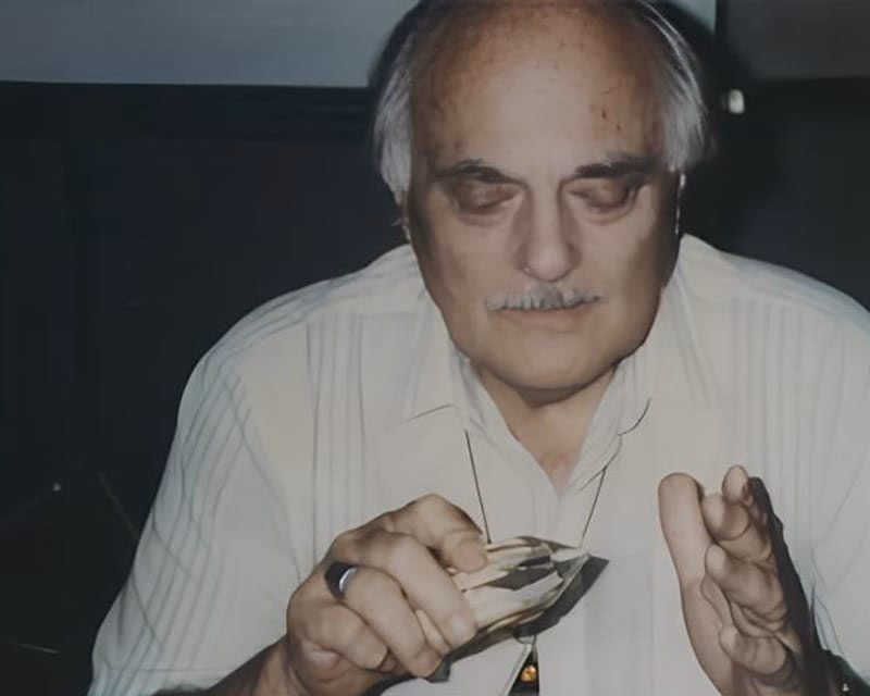 Vogel