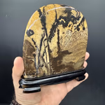 Picture Jasper Obje Ahşap Standlı Orijinal Kristal Detay Görseli 1