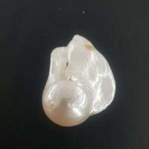 Barok Okyanus İncisi - inci Taşı Enerjisi ve Doğal Formu