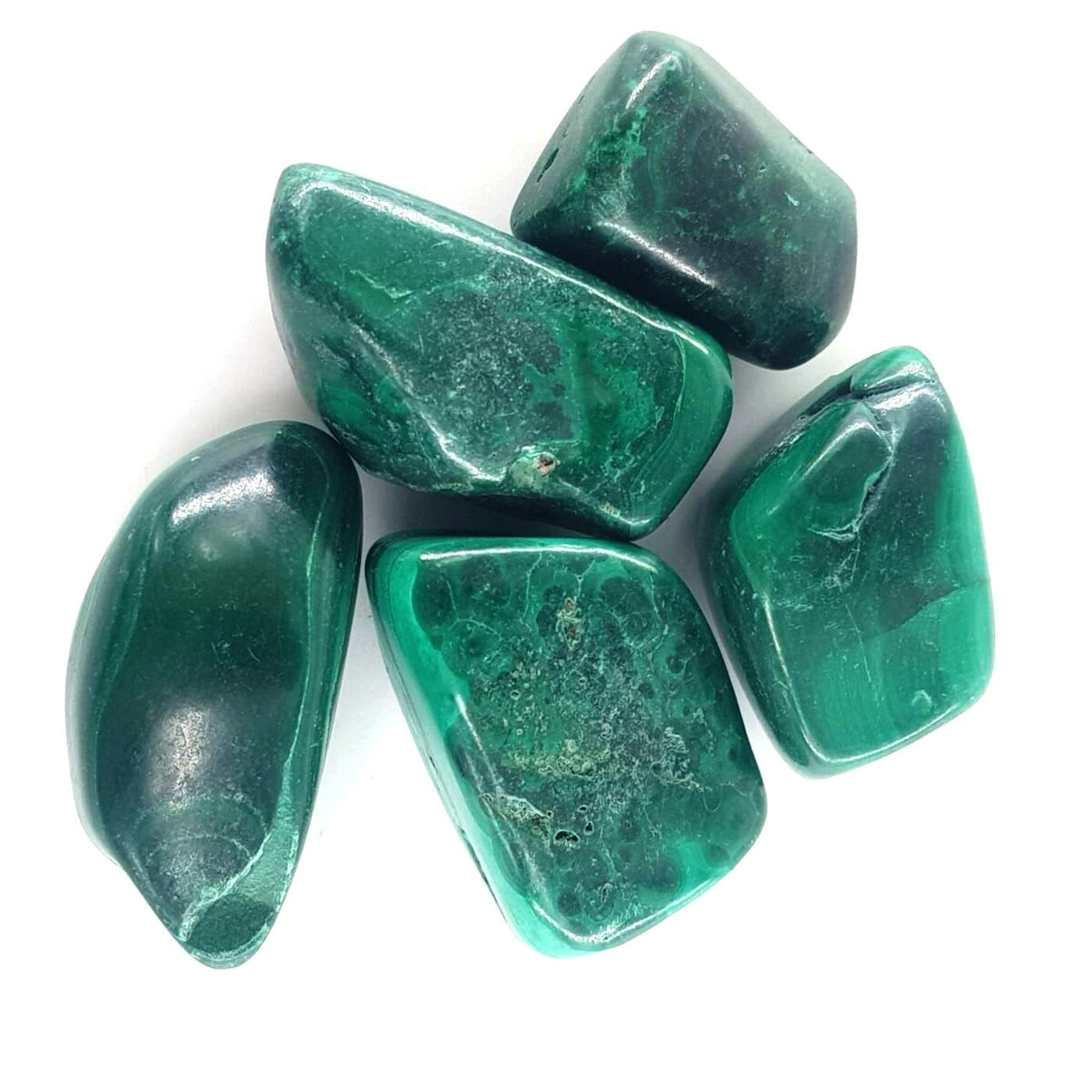 20230726 141233 scaled Sarkaç Adam