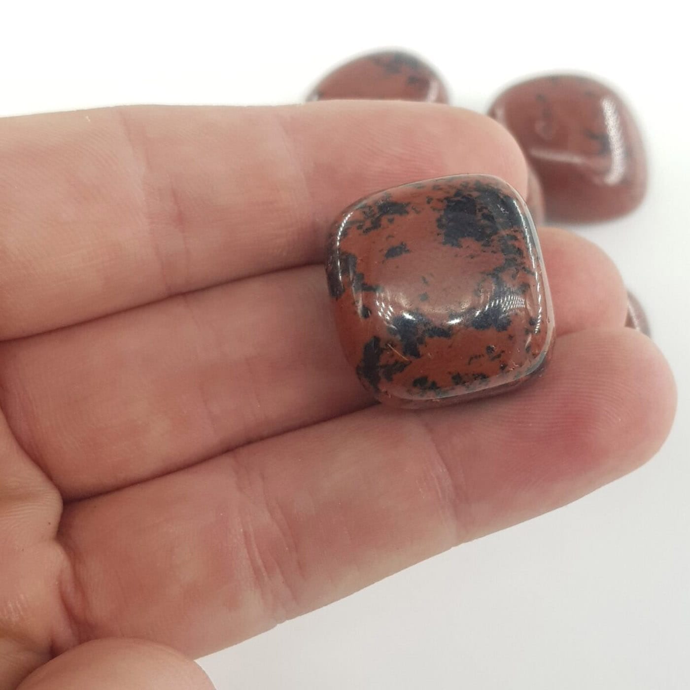 Kahverengi Obsidyen Tımbıl - Görsel 2