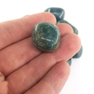 Alternative view of Kantaşı Tımbıl