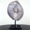 Sodalit Gua Sha