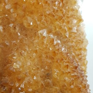 20231004 125313 scaled Sarkaç Adam