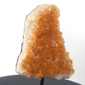 20231005 161051 scaled Sarkaç Adam