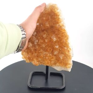 20231005 161107 scaled Sarkaç Adam