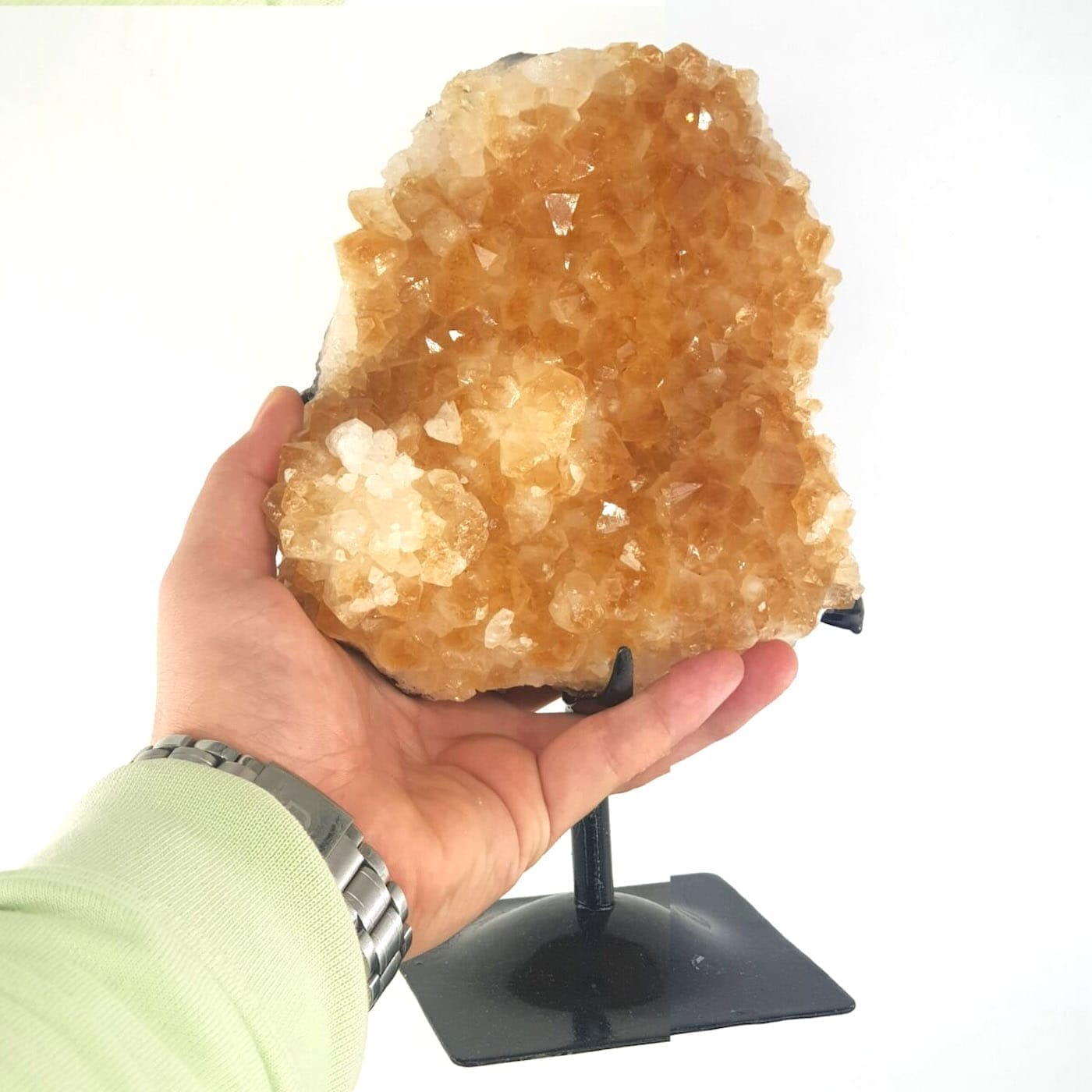 Sitrin (Standlı) - Görsel 2