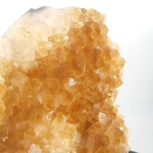 20231005 161435 scaled Sarkaç Adam