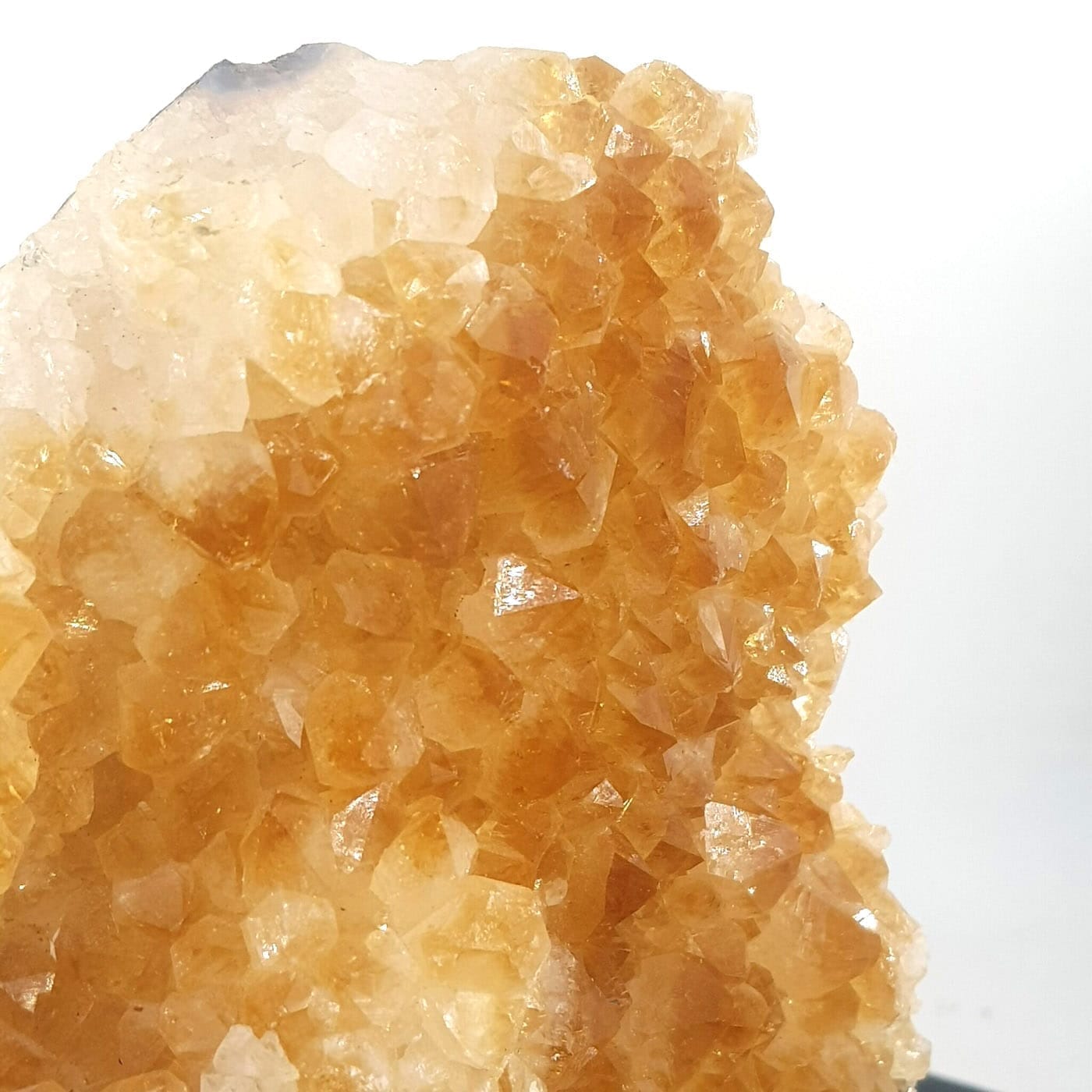 Sitrin (Standlı) - Görsel 3