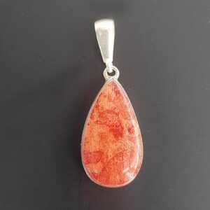 Fosil Mercan Kolye Ucu (Gümüş)