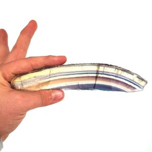 Alternative view of Rainbow Florit