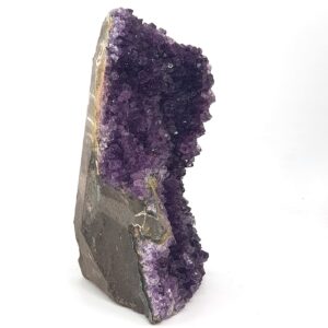 20231012 135327 scaled Sarkaç Adam