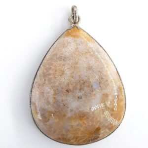 Fosil Mercan Kolye Ucu