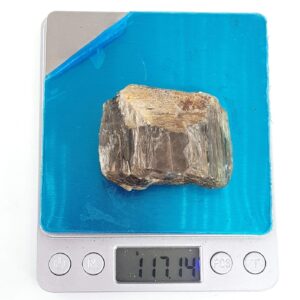 20231013 144525 scaled Sarkaç Adam