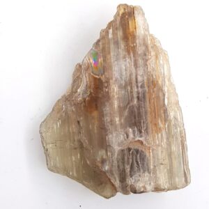 20231013 144549 scaled Sarkaç Adam