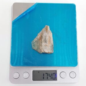 20231013 144729 scaled Sarkaç Adam