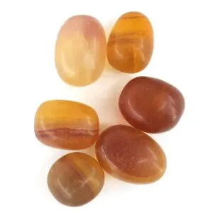 Sarı Florit Tımbıl