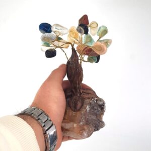 Alternative view of Çakra Ağaç