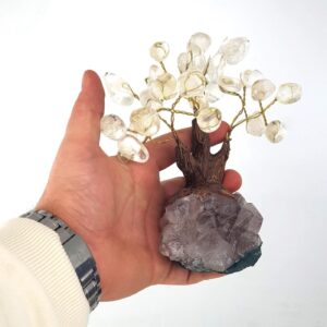 20231019 103426 scaled Sarkaç Adam