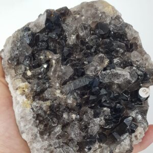 20231019 104000 scaled Sarkaç Adam