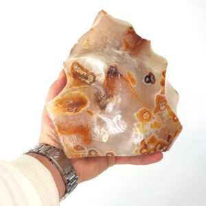 20231019 104152 scaled Sarkaç Adam