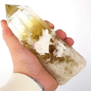 20231019 104943 scaled Sarkaç Adam