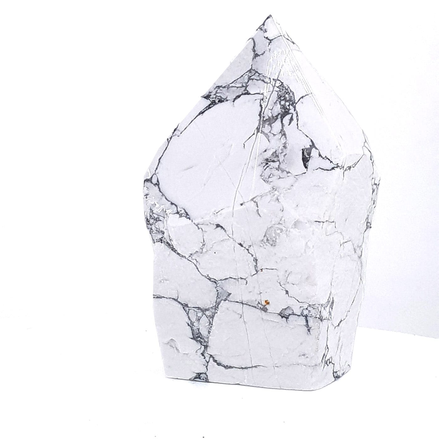 20231027 134647 1 Sarkaç Adam