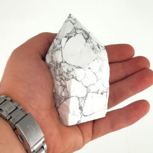 Alternative view of Havlit Power Point