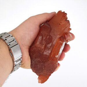 20231027 134913 Sarkaç Adam