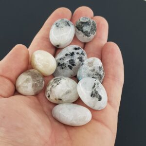 Aytaşı Tımbıl - 2