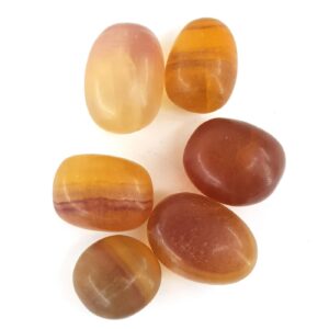 Sarı Florit Tımbıl