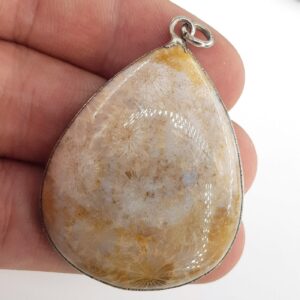 Fosil Mercan Kolye Ucu - 2