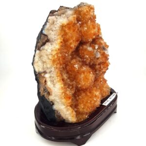 Sitrin Jeot (Ahşap Standlı) - 3