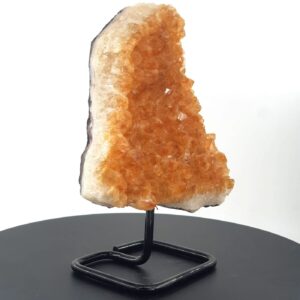 Sitrin Jeot (Standlı) - 2