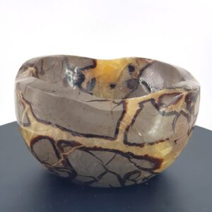 Septeryan Kase XXL - 2