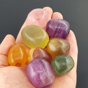 Rainbow Florit Tımbıl - 2