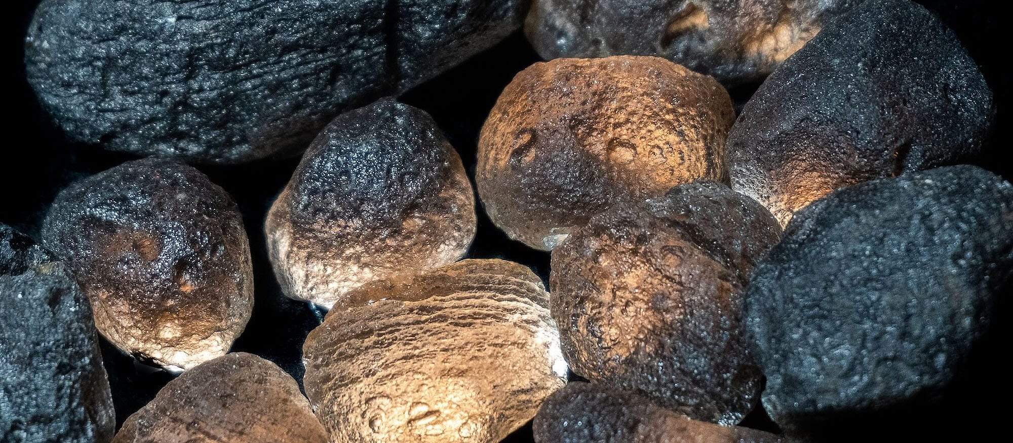 Agni Manitite faydalari Sarkaç Adam