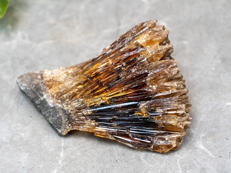 Amber Kalsit Sarkaç Adam