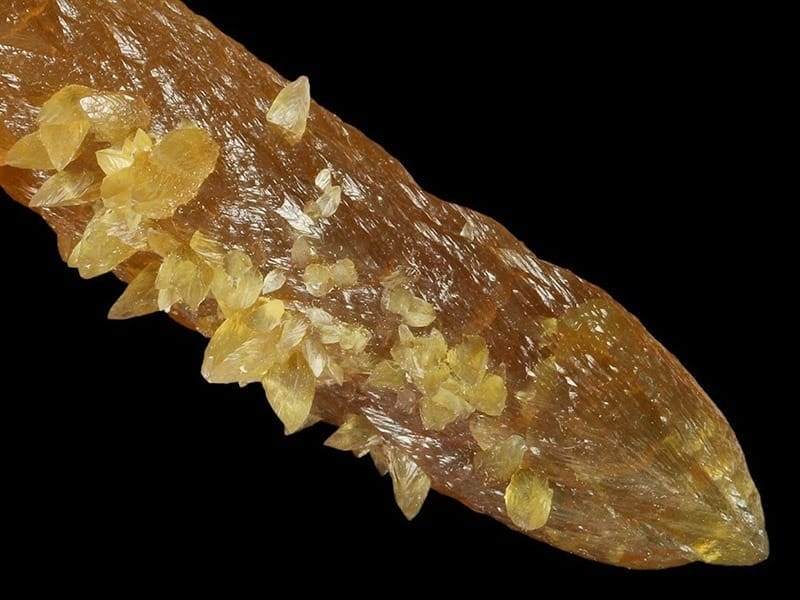 Amber Kalsit2 Sarkaç Adam