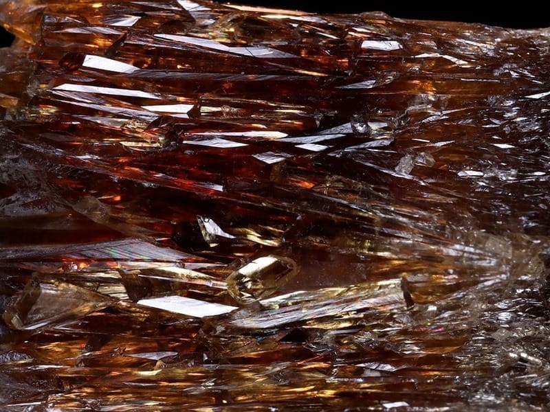 Amber Kalsit3 Sarkaç Adam