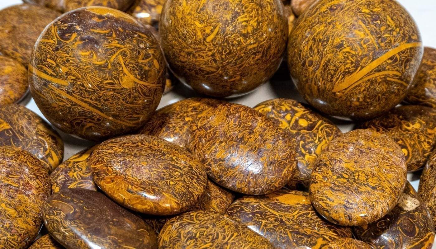 Miriam jasper faydalari Sarkaç Adam