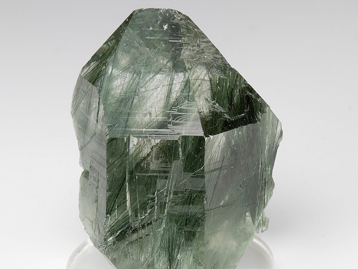 actino e1700053035713 Sarkaç Adam