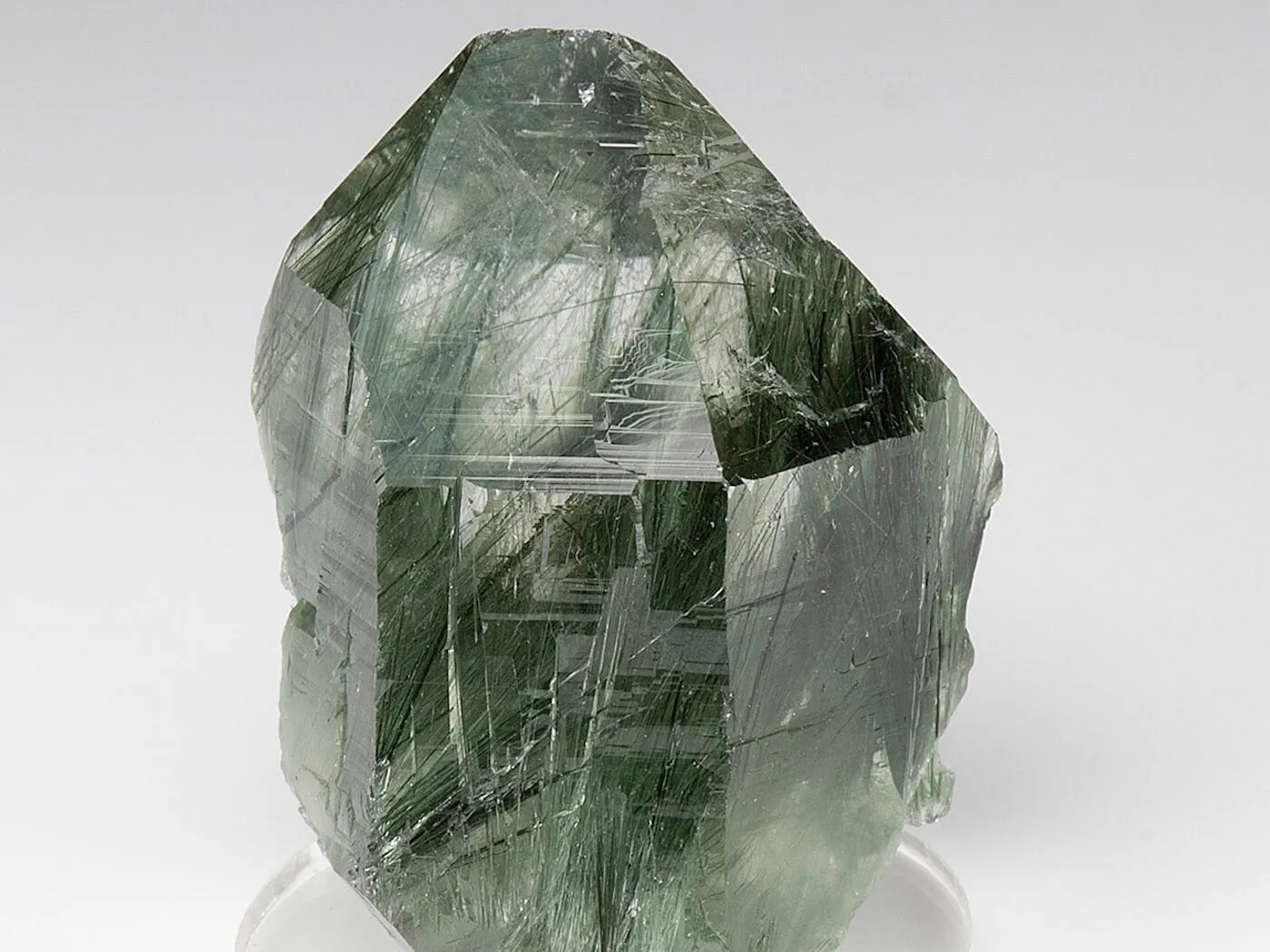 actino e1700053035713 Sarkaç Adam