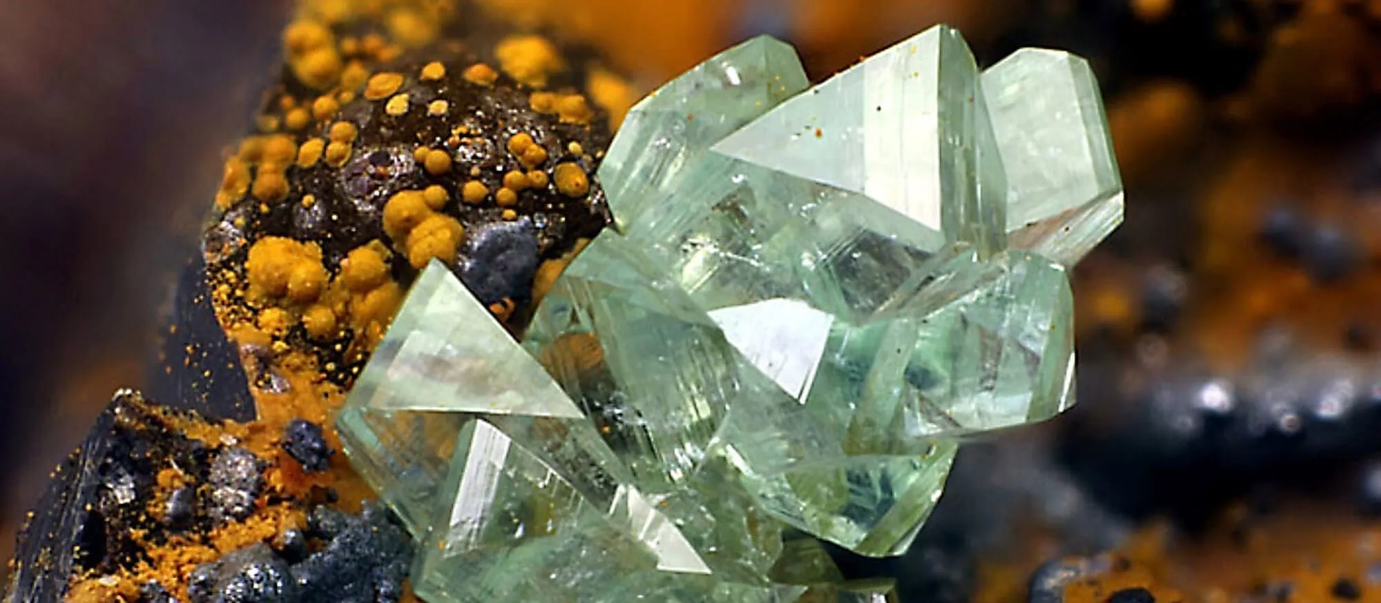 adamite faydalari Sarkaç Adam